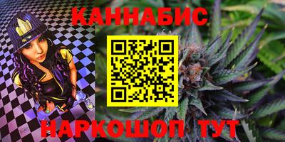 индика Беслан