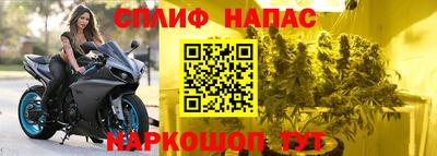 гидра Бийск