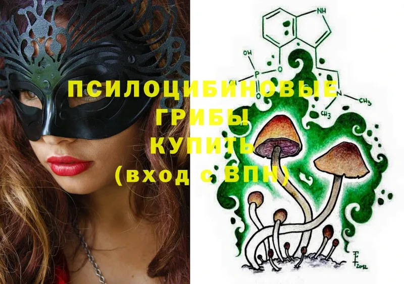 Галлюциногенные грибы MAGIC MUSHROOMS  MEGA tor  Крымск 